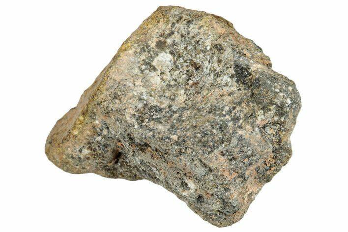Howardite Meteorite ( g) - Bechar #286993